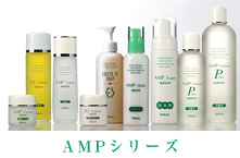 ホワイトリリーAMP.jpg